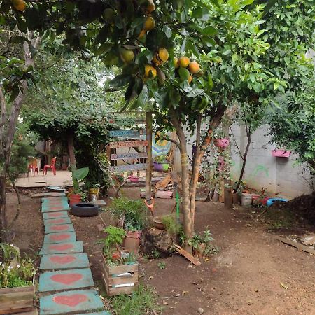 Casa Lothuz Spacio Cultural Y Disidente San Cristóbal de Las Casas Buitenkant foto