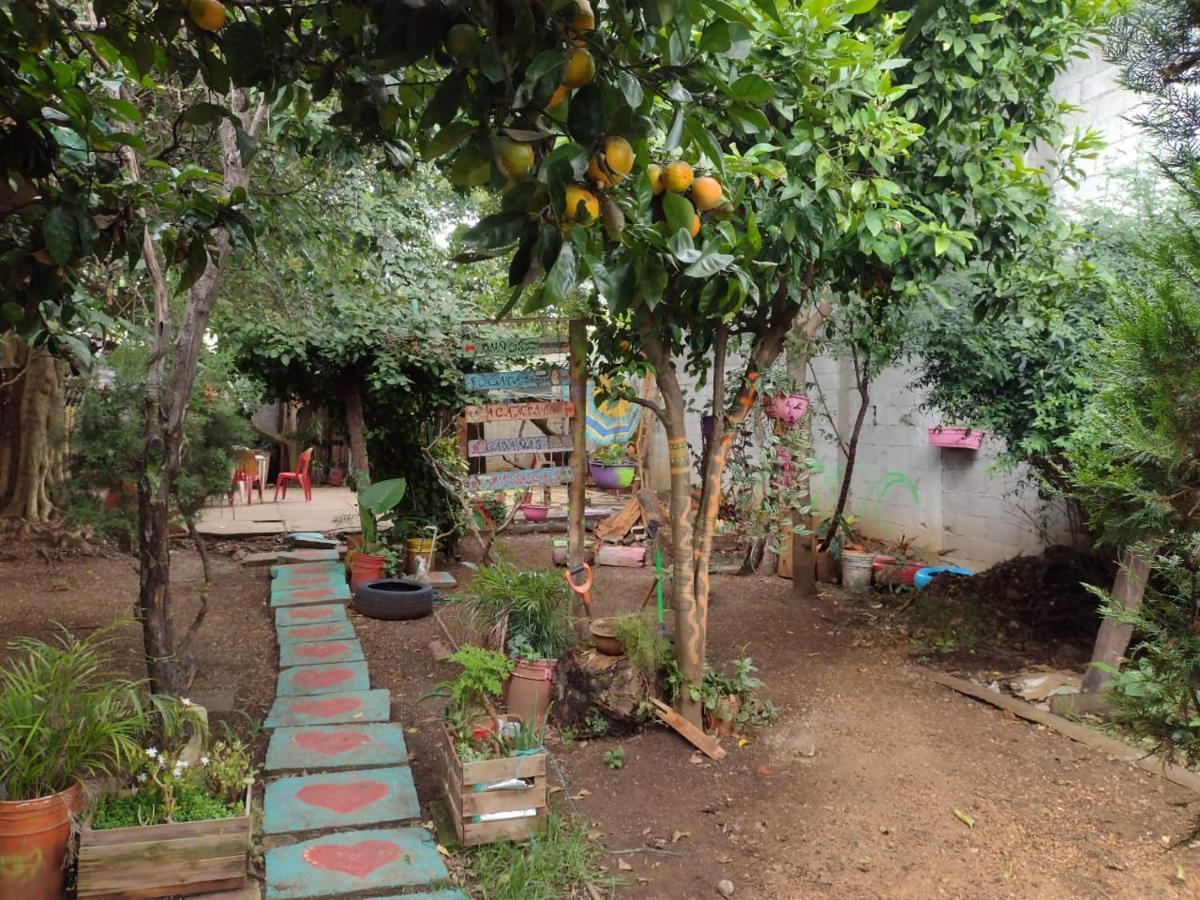 Casa Lothuz Spacio Cultural Y Disidente San Cristóbal de Las Casas Buitenkant foto